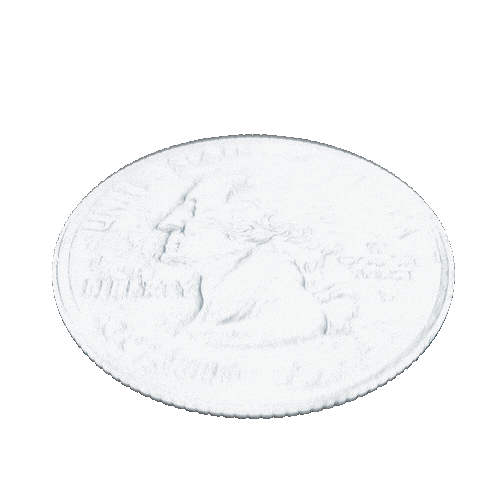 3D Wisconsin Quarter